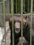 P1000179