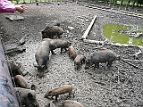 P1000190