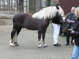 P1000013