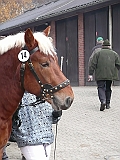 P1000014