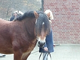 P1000017
