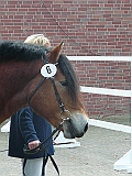 P1000018