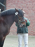 P1000019