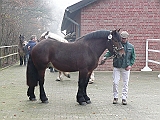 P1000020