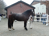 P1000024