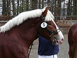 P1000031
