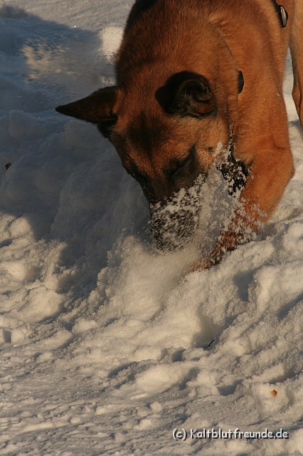 IMG_3514.JPG