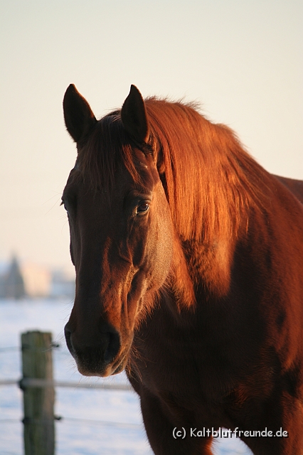 IMG_3739.JPG