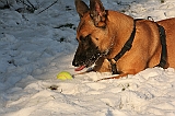 IMG_3497