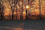 IMG_3588