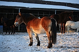 IMG_3761