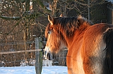 IMG_3762